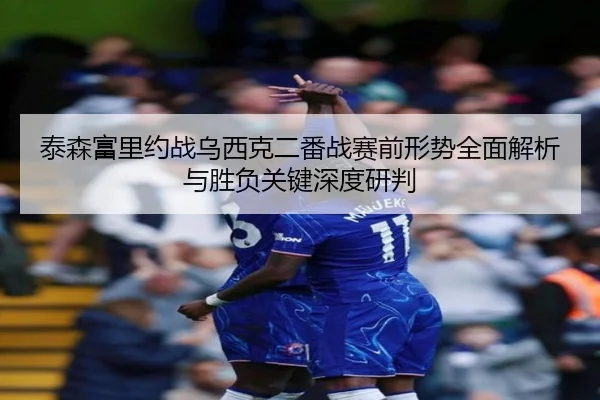 泰森富里约战乌西克二番战赛前形势全面解析与胜负关键深度研判